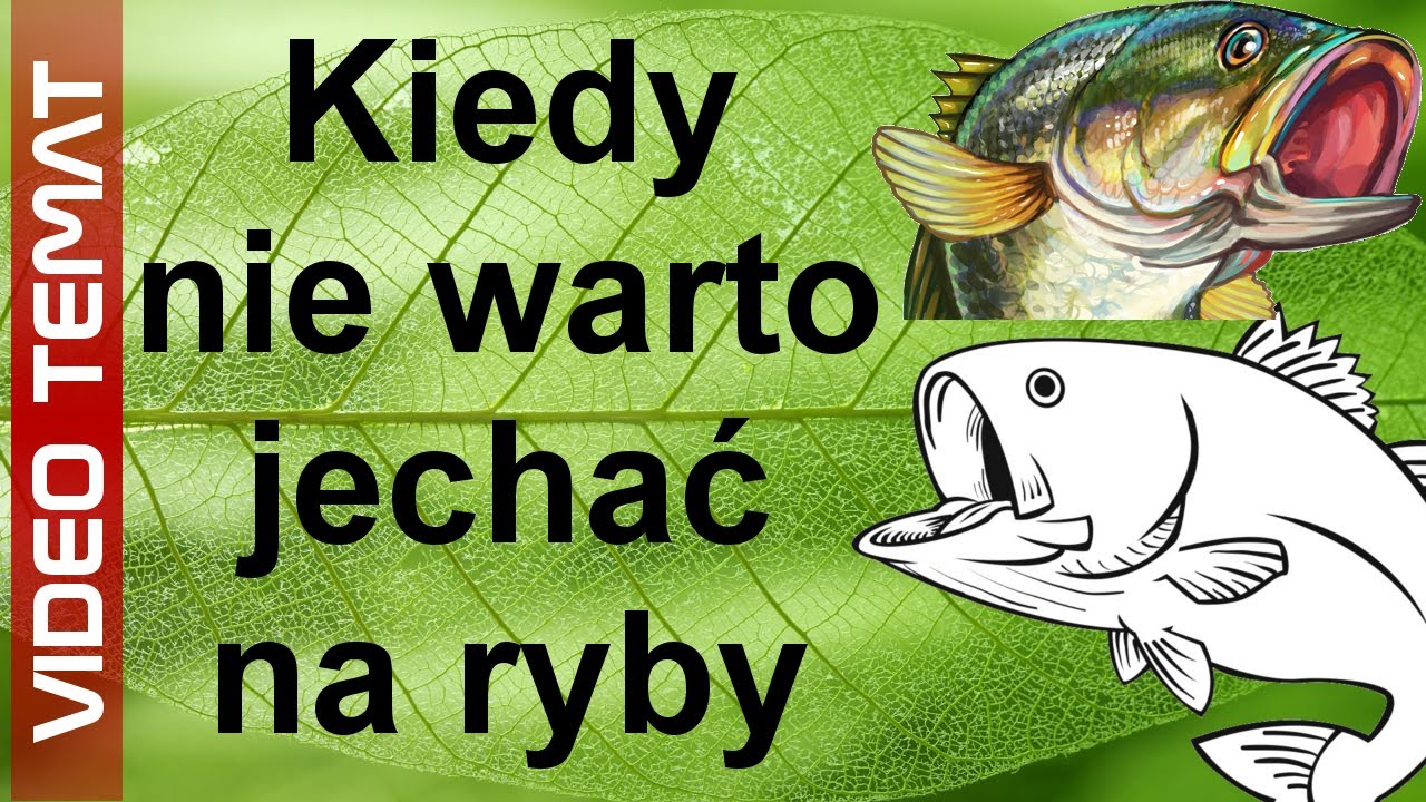 Kiedy Nie Warto Jechac Na Ryby Youtube