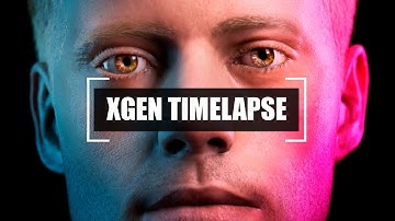 XGen Timelapse of Male Facial Hair