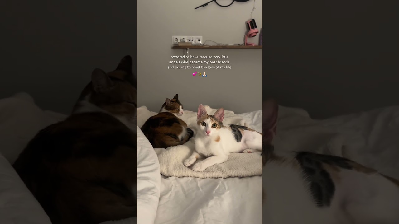 family of 3 girls we are 💕 