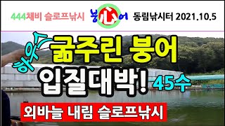 첫 하우스출조 굶주린 붕어의 입질대박 개나소나 다잡어