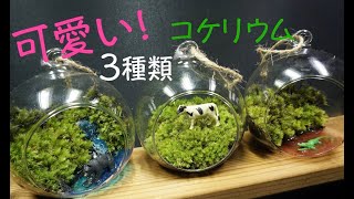 小さなガラス容器で可愛い動物コケリウムをつくる