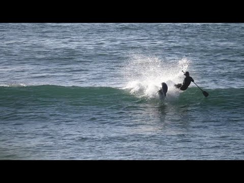 Paddle Boarder Gets SMASHED by Dolphin || ViralHog