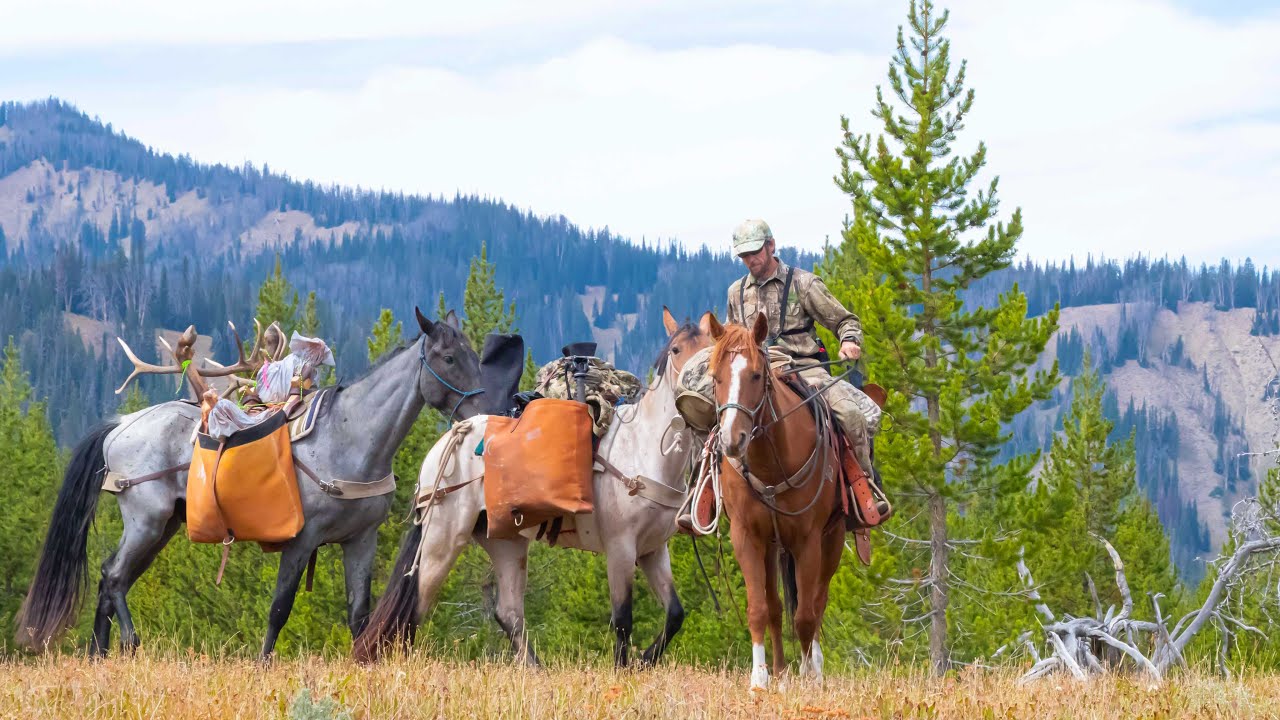 Wyoming Horseback Archery Elk Hunt YouTube