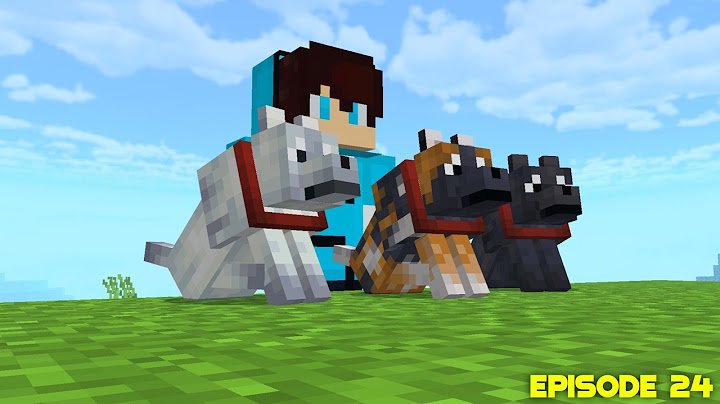 I Collected EVERY NEW WOLF in Minecraft ep24