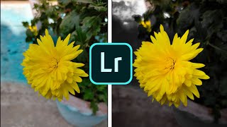 Lightroom Edit || Digitech || screenshot 5