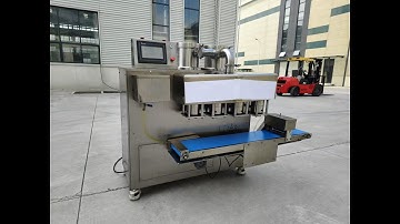 Fried Dough twisting forming machine
