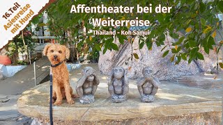 Affentheater bei der Weiterreise ● #Thailand ● #KohSamui ● Vlog #37