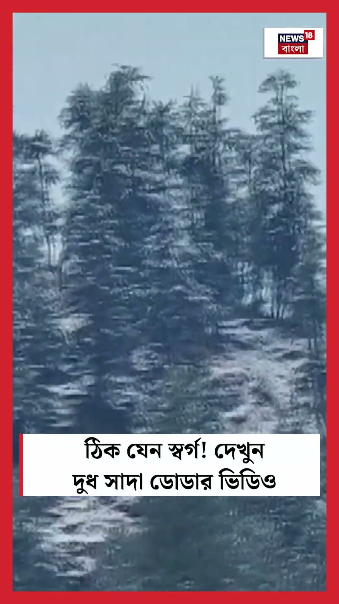 ঠিক যেন স্বর্গ! দেখুন দুধ সাদা Doda র Video । N18S #Shorts