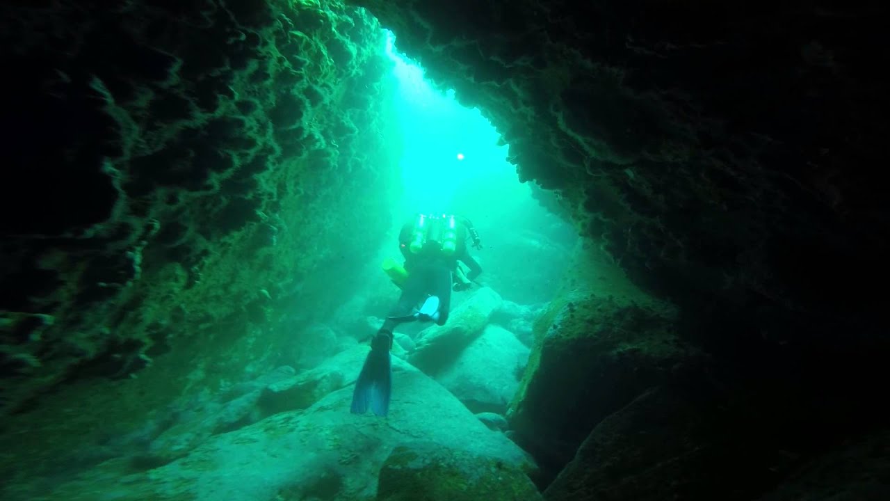 Diving the Cathedral, Long Reef, Sydney, NSW