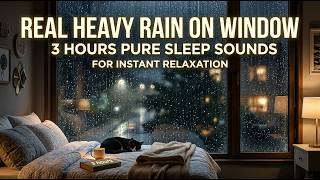 Rain on Window for Deep Sleep 🌧️ Cozy Bedroom Ambience & Soft Rain Sounds to Relax and Sleep Fast screenshot 3