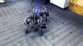 Handmade robot dog, how do you feel?