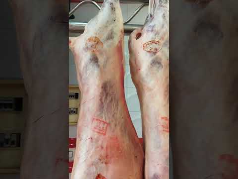 لحم الخروف المليح مع الجزار الصغير  خروف