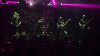 Display of Decay - Malicious Motorcide