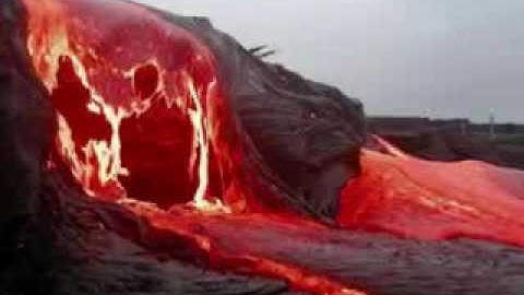 ماتيسر من سورة فصلت - القارىء محمد اللحيدان