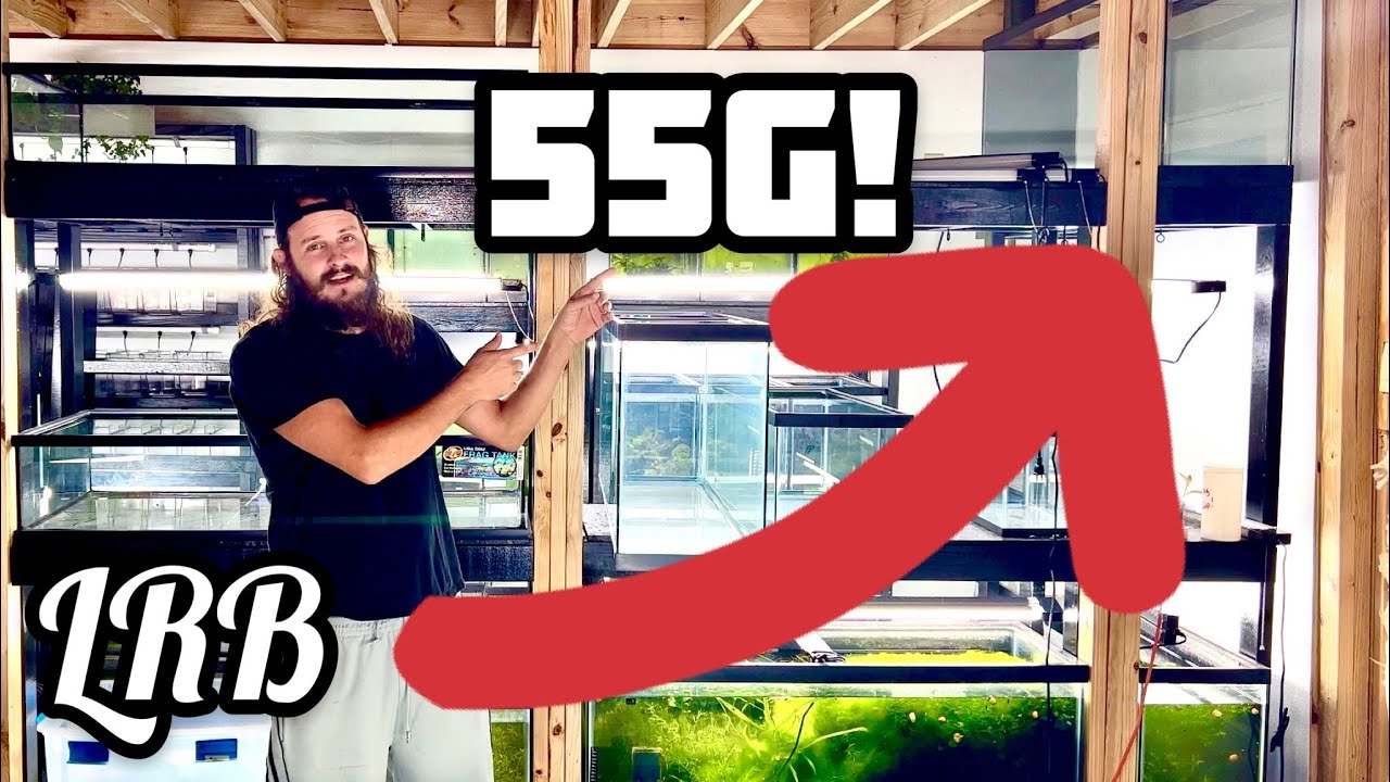 55G In Wall Aquarium Rack Build - YouTube