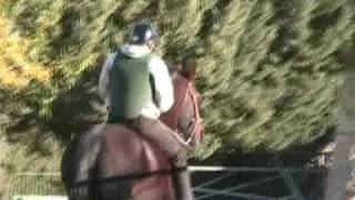 The Great Bareback Horse Riding Adventure