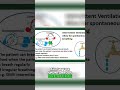 Intermittent Ventilation: When & Why You Should Use It #shorts