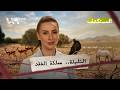 سر اختفاء الناجي الأخير من محمية التليلة المستكشف يخترق قلب البادية المستكشف