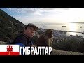 Гибралтар. Прогулка с обезьянами по краю Европы