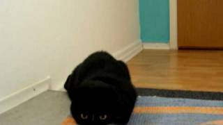 DSCF0572.AVI