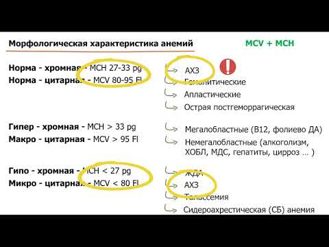 классификация анемии | морфологическая характеристика анемий