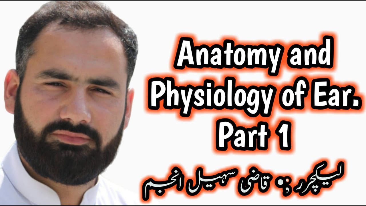 Anatomy and Physiology of Ear. Part 1 - YouTube