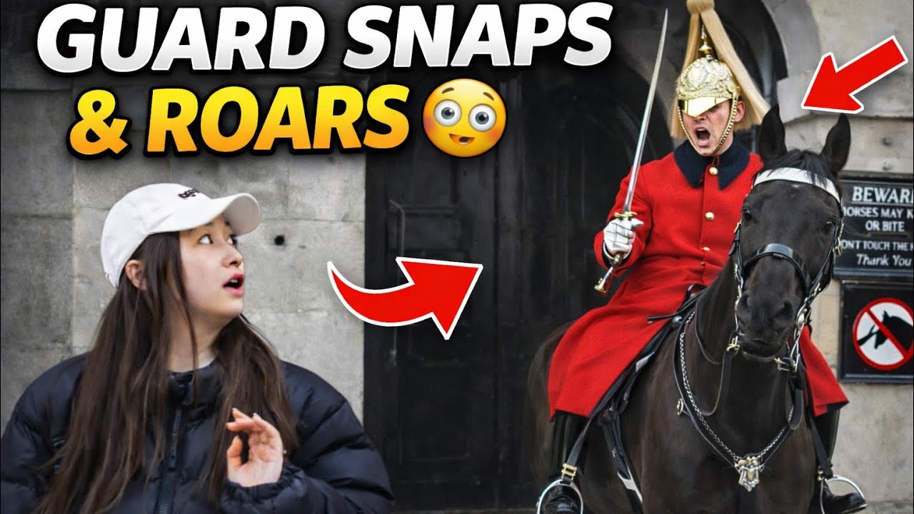 3 WARNINGS!😱 She Messed with the Wrong King’s Guard — He EXPLODED After This Happened