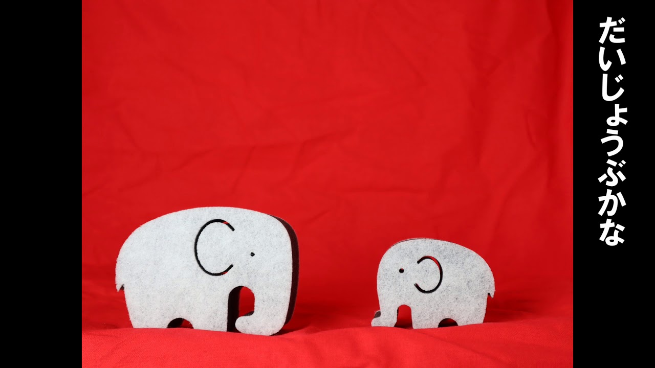 ぞうの11 ｜株式会社あおぞら -AOZORA-