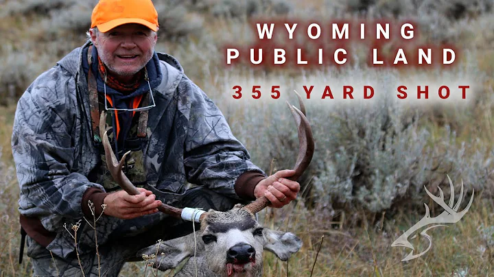Wyoming Public Land Mule Deer Hunt - 355 Yard Shot  - Altered by the Season
