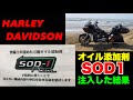 オイル添加剤【ハーレー】SOD1を注入してみる◉HARLEY DAVIDSON FLTRX   vol.255