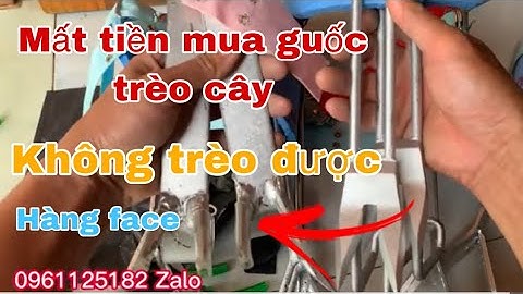 Guốc trèo cây  hai Đinh tại sao mua về không trèo cây được - ong dế Bắc Giang