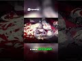 Re roll Guide  Create Accounts and Clear Cache