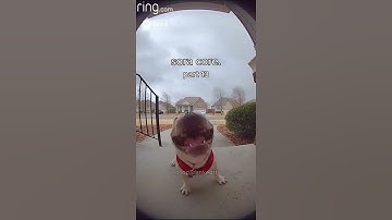 Open Ai Sora core. №13 #fypシ #shorts #funny