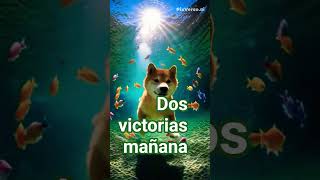 #victoria#mañana