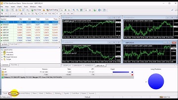 GemForex MT4 Tutorials 【TERMINAL WINDOW IN MT4】