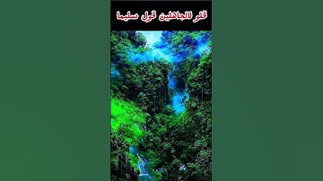 وعبَاد ٱلرّحمـٰن ٱلّذین ...// سورة الفرقان #ياسر_الدوسري #القرآن_الكريم