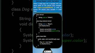 Why Do we use Super Keyword with Variables in Java? | Tpoint Tech #java #tpointtech