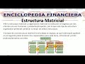 Estructura Matricial - enciclopediafinanciera.com