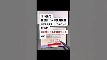 3 DS WiiUなど暗証番号がわからないときの裏ワザ レトロゲーム裏ワザその1 レトロゲーム レトロゲー 3 DS Nintendo 任天堂 ゲーム機 