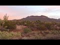 Arizona desert sounds 1 hour sunrise in mesa natural sounds of sunrise relaxation naturesounds