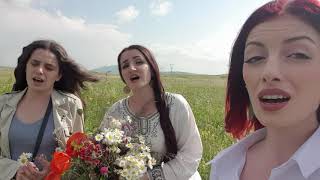 Ախ, Նարե, Նարե / Nare