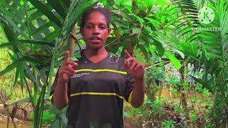 Lagu Terbaru Aminda Telebe Lensa X Sepa Video Mu Official Yahukimo Amianer Moruman Timbildam