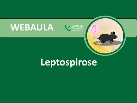 Vídeo: Casos De Leptospirose Ocorrem Em Nova York E Phoenix: O Que Você Precisa Saber