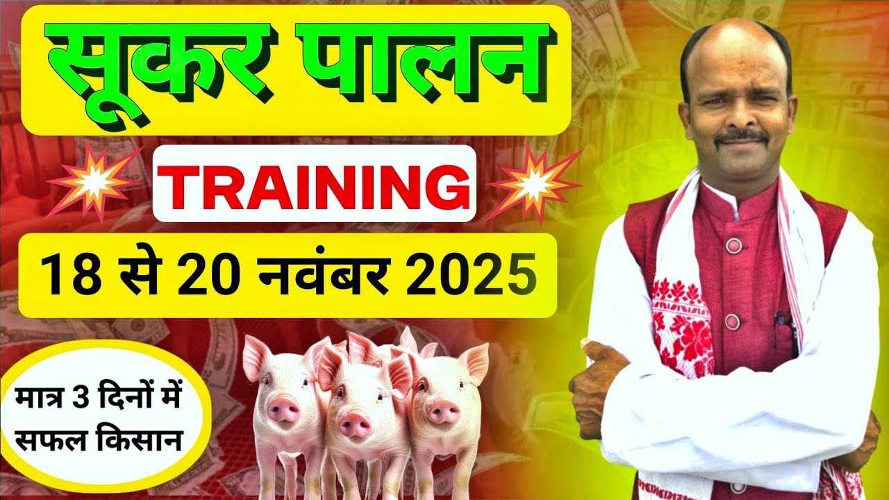 सूकर पालन ट्रेनिंग NK Sukar Farm में । Sukar Farm Training Centre / Pig Farm Training NK Sukar Farm