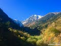 西崎みどり    さすらいの唄