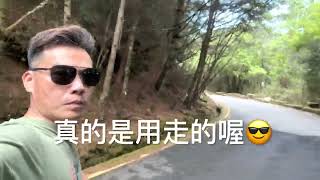 鹿林天文台#鹿林前山#鹿林山#麟趾山#玉山登山口#塔塔加#茂霖旅遊旗艦