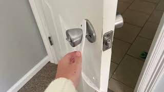 Cat Door Holder Latch Larger Cat Door, Pros & Cons, Cat Door Latch