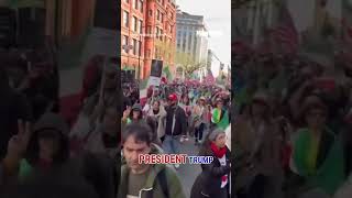 Iranian Americans FLOOD streets in support of Trump #shorts #us #news #iran #us