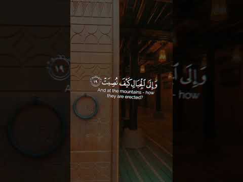 تلاوة بصوت جميل افلا ينظرون الى الابل كيف خلقت عبدالرحمن مسعد