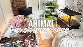Tour Of All My Animal Enclosures!